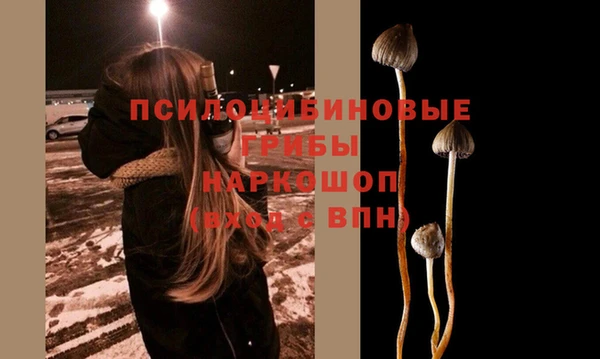 скорость Верхний Тагил
