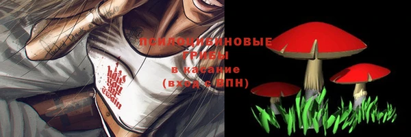 метадон Верея